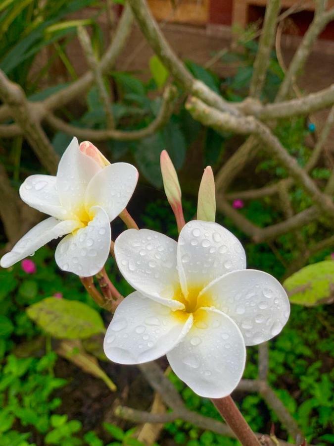 Cabanas Maria Hau อังกาโรอา ภายนอก รูปภาพ